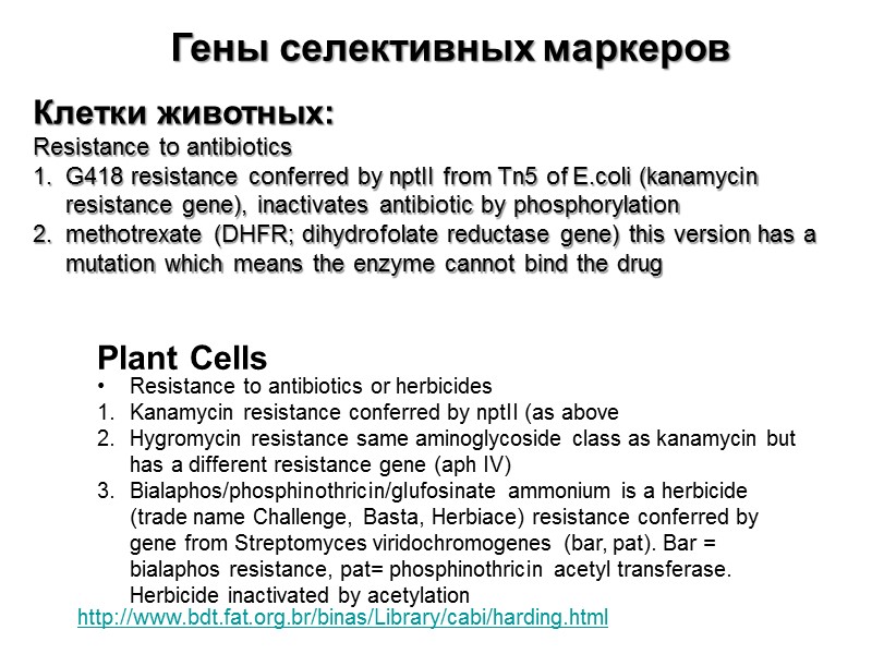 Клетки животных: Resistance to antibiotics  G418 resistance conferred by nptII from Tn5 of